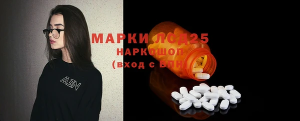 ПСИЛОЦИБИНОВЫЕ ГРИБЫ Абаза