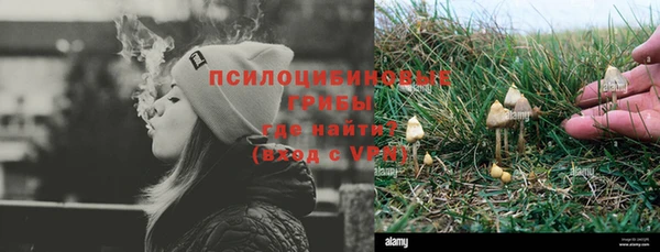 ПСИЛОЦИБИНОВЫЕ ГРИБЫ Алексеевка