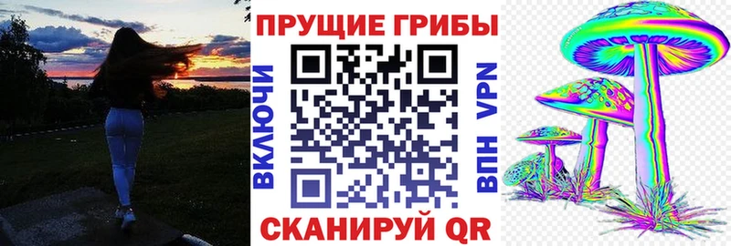 Галлюциногенные грибы Psilocybe  Елизаветинская 